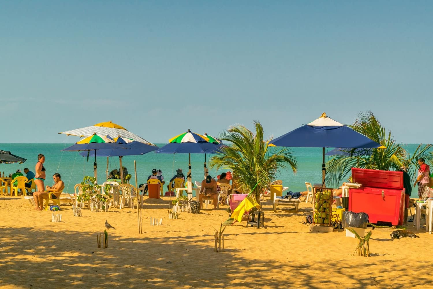 Fortaleza