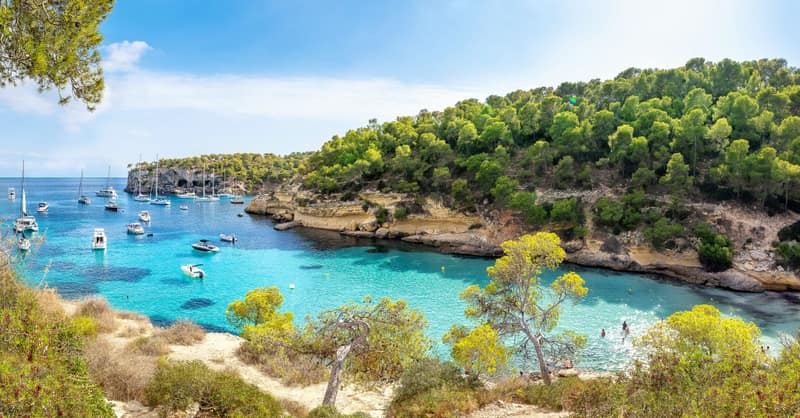 Maiorca